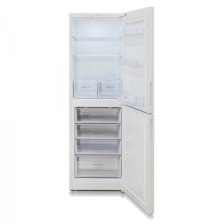 Холодильник Бирюса 6031 (345/210/135л) 192см